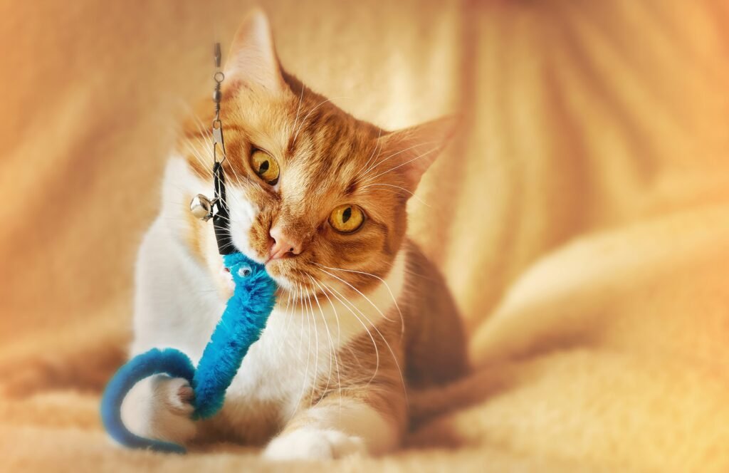Gato brincando com brinquedo interativo