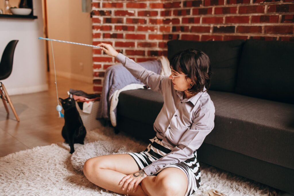 Pessoa brincando com gato usando brinquedo interativo