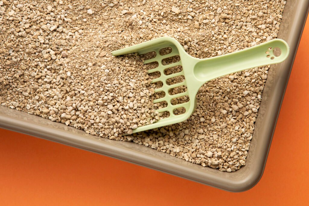 Close-up da textura fina de areia sanitária para gatos