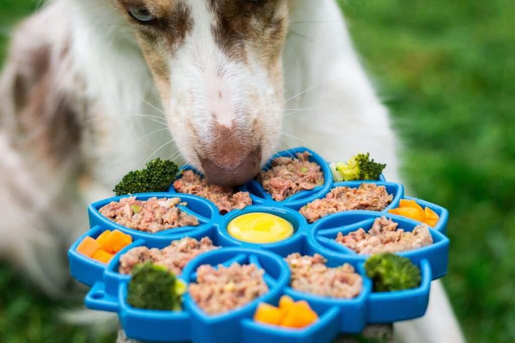 cachorro se alimentando em tapete de alimentação lenta com brócolis e cenoura entre outros alimentos