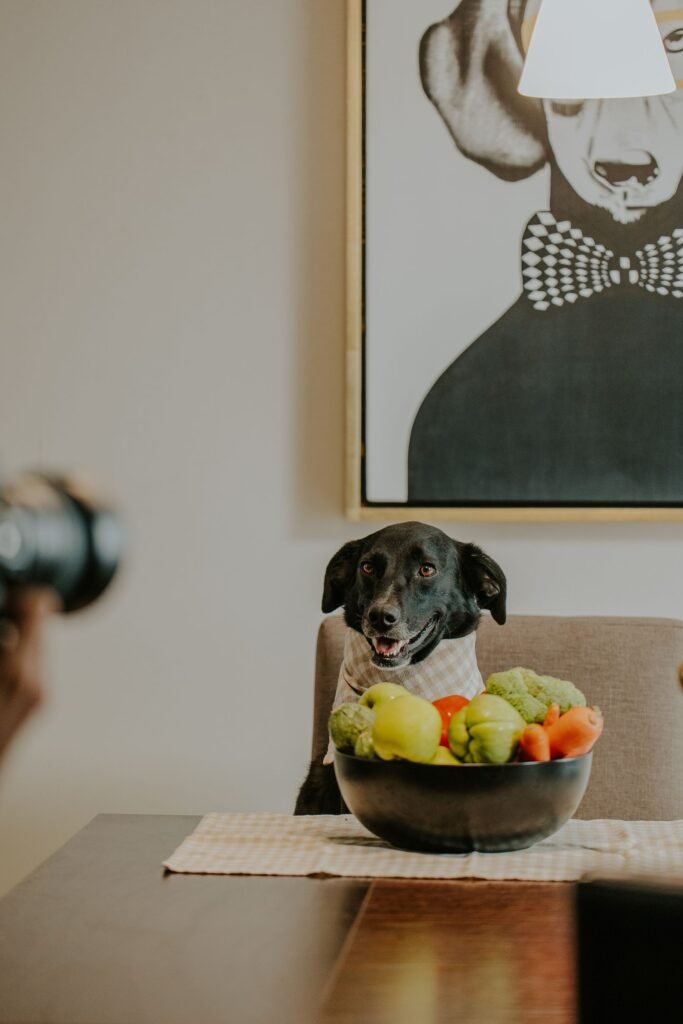 cachorro sentado à mesa atrás de tigela com maçãs, chuchus, brócolis e cenouras