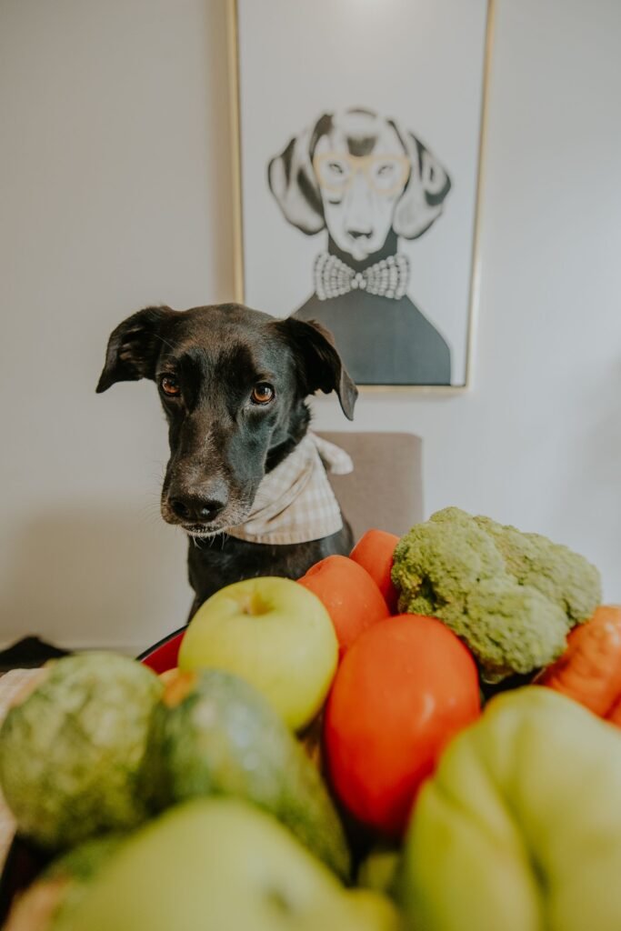 cachorro sentado perto de uma tigela com frutas e vegetais, incluindo brócolis