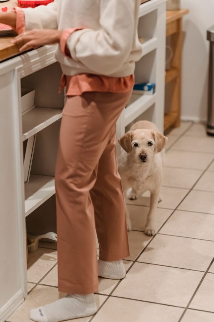 tutor preparando comida na cozinha com cachorro observando a uma distância segura