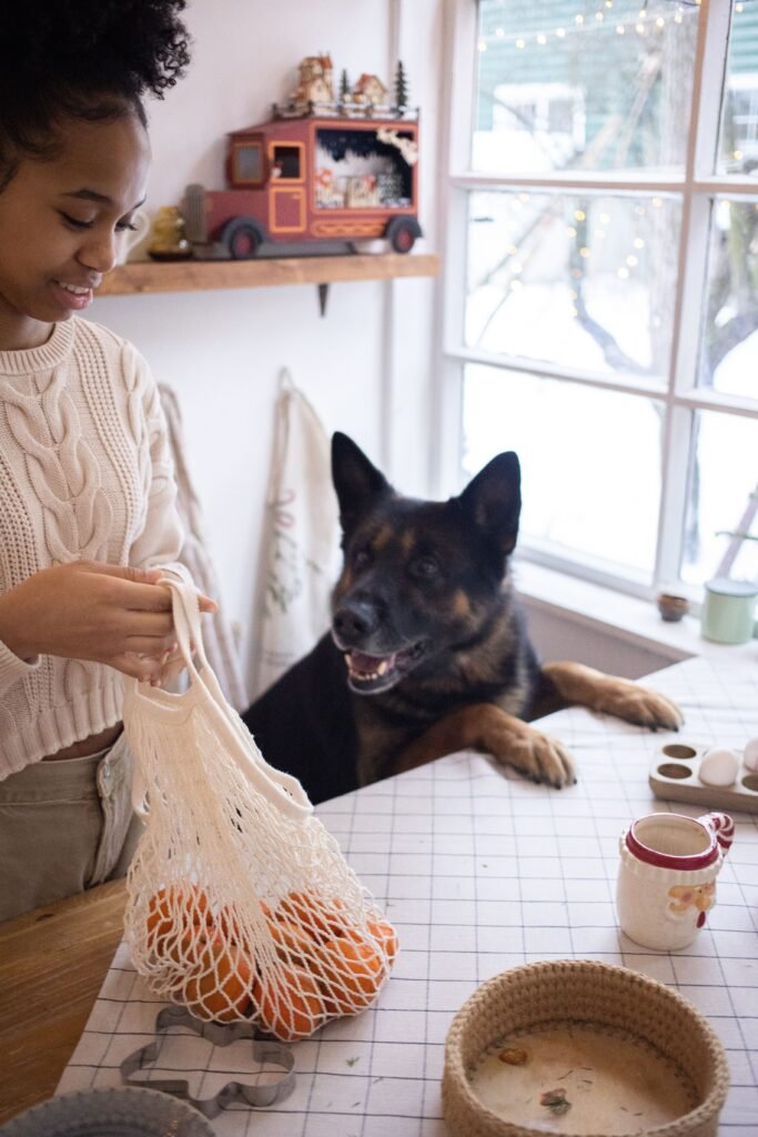 Cachorro observando atentamente a tutora enquanto ela guarda frutas na cozinha