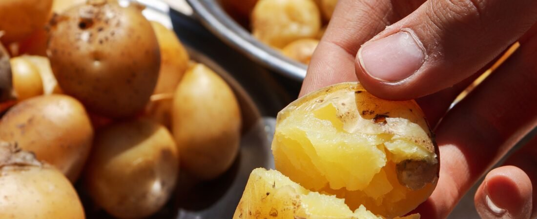 Cachorro Pode Comer Batata? Saiba Quando É Segura e os Riscos