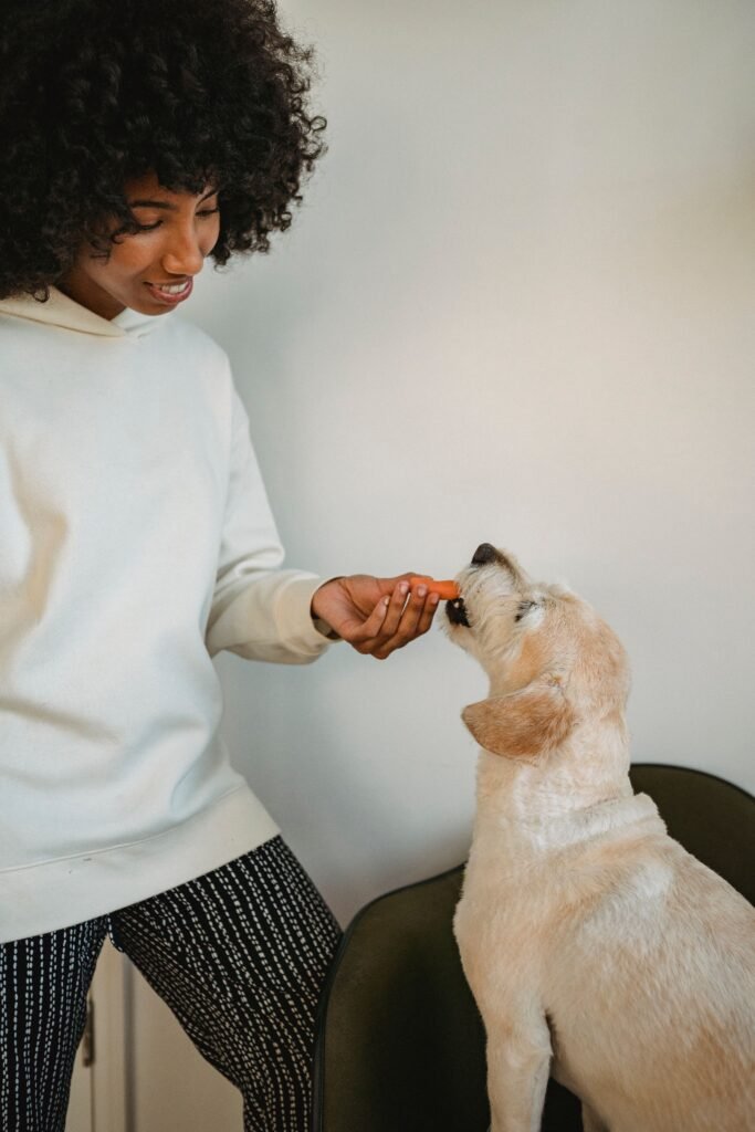 Tutora oferecendo petisco natural para cachorro sentado em casa