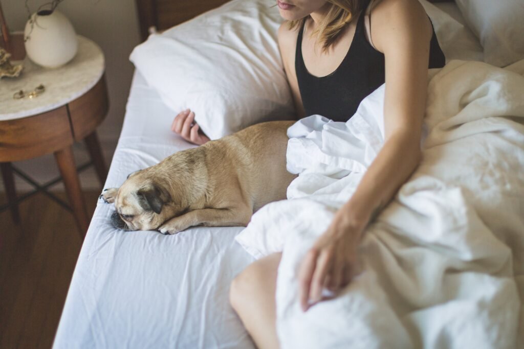 tutor observando cachorro dormindo com atenção