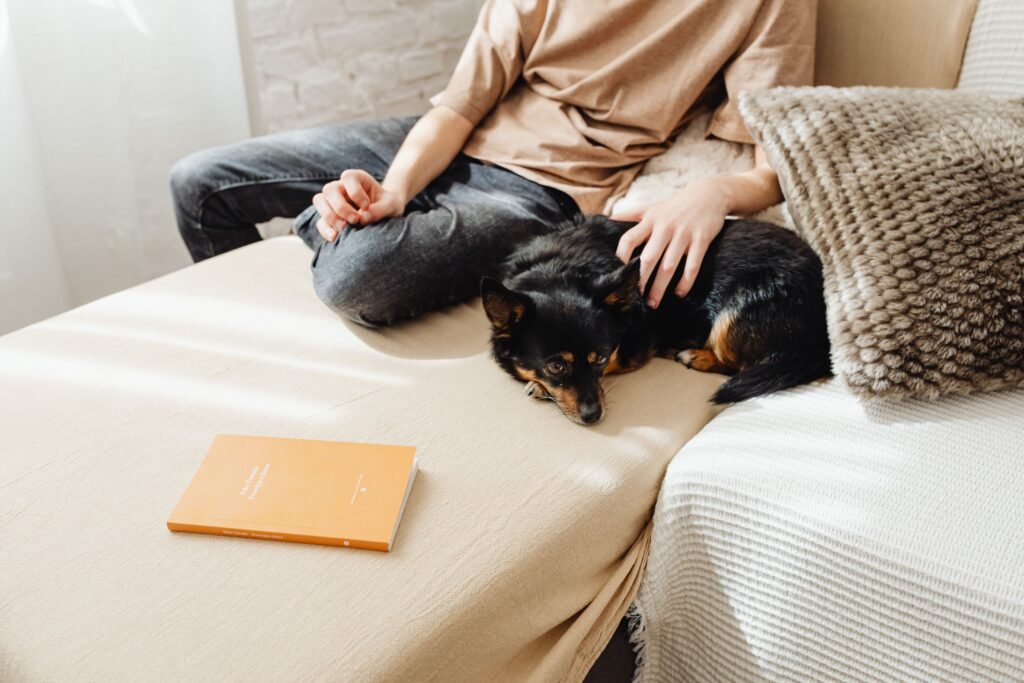 cachorro deitado ao lado do tutor no sofá da sala