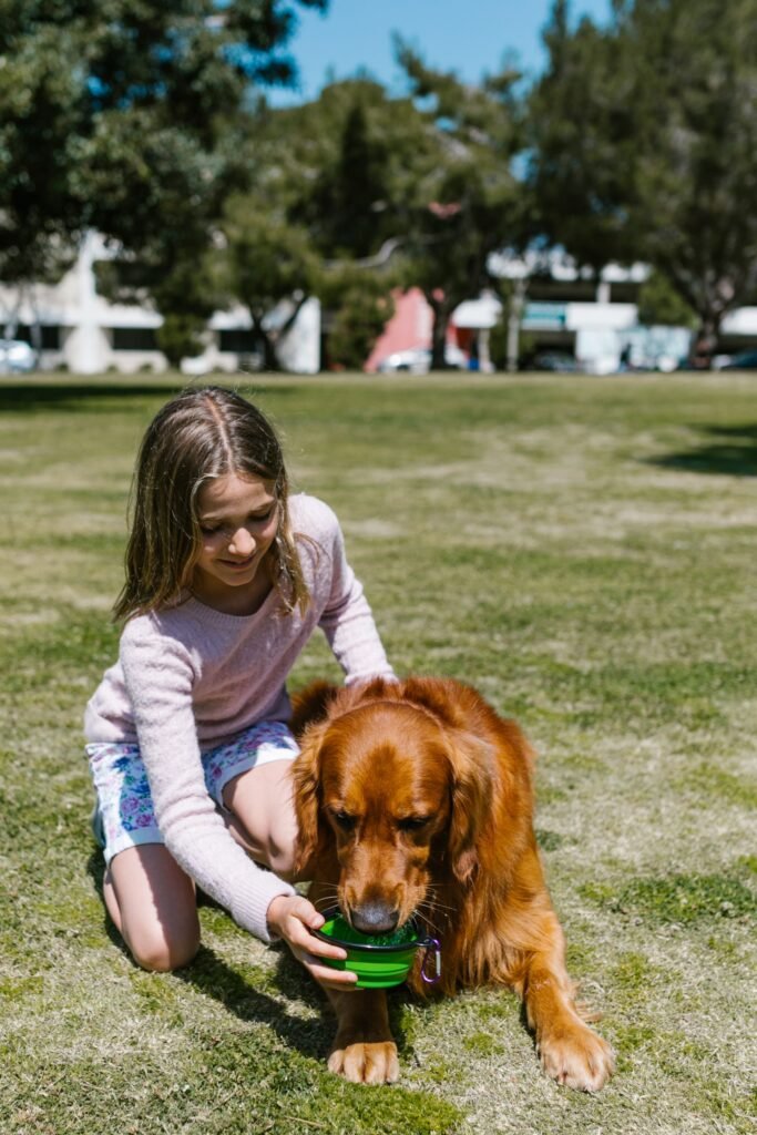 uma pessoa oferecendo tigela de água para cachorro em dia de sol no quintal