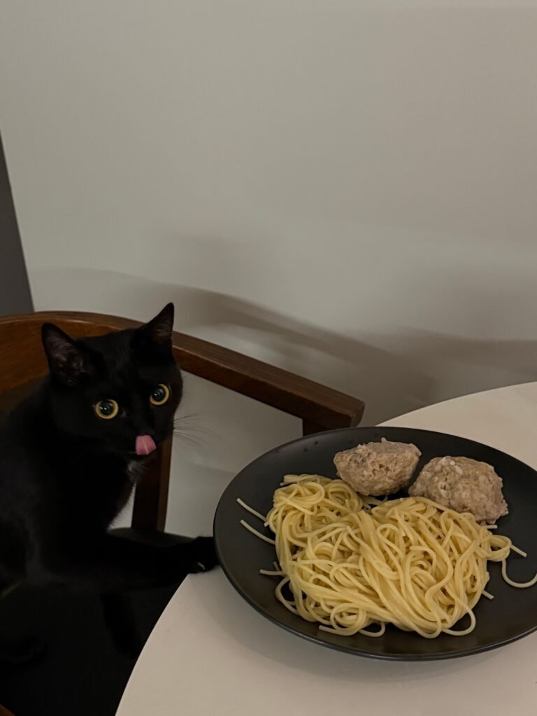 Gato curioso olhando para um prato de comida humana sobre a mesa