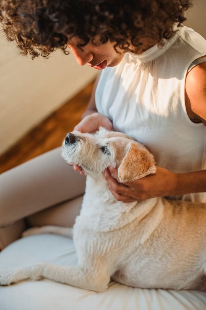 tutora observando o rosto do cachorro para identificar sinais de desconforto
