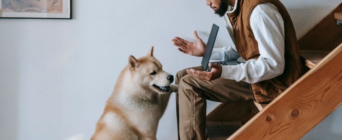 Cachorro Segue Pela Casa: Por Que Isso Acontece?