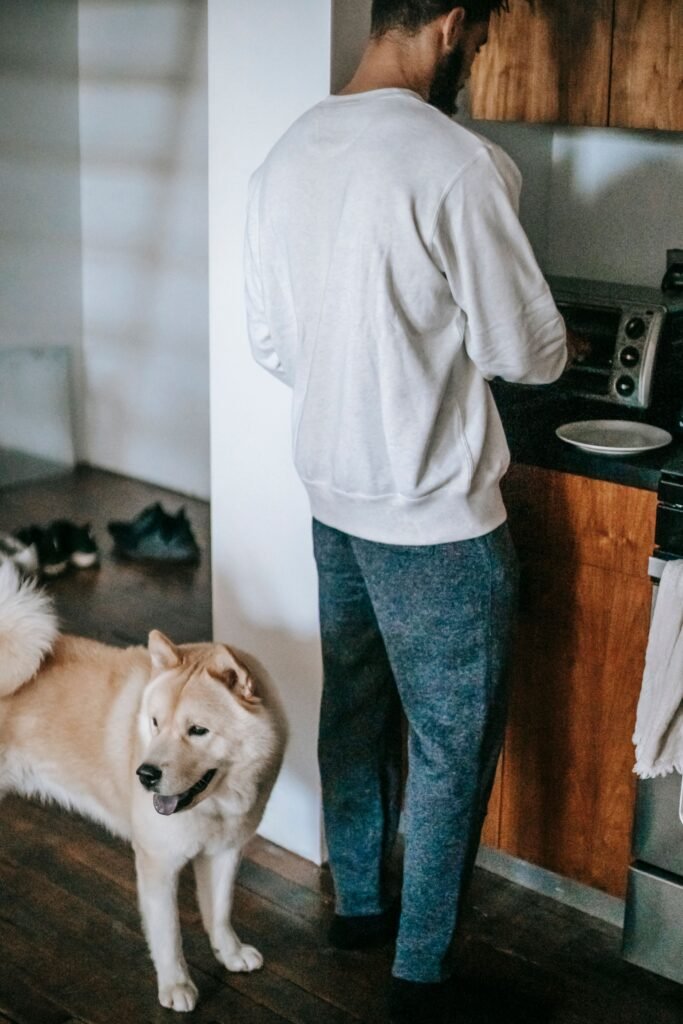 cachorro seguindo o tutor pela cozinha de casa