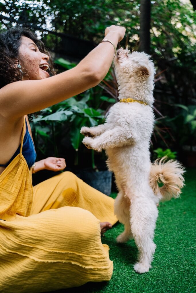 tutora brincando com o cachorro de farejar petiscos no jardim