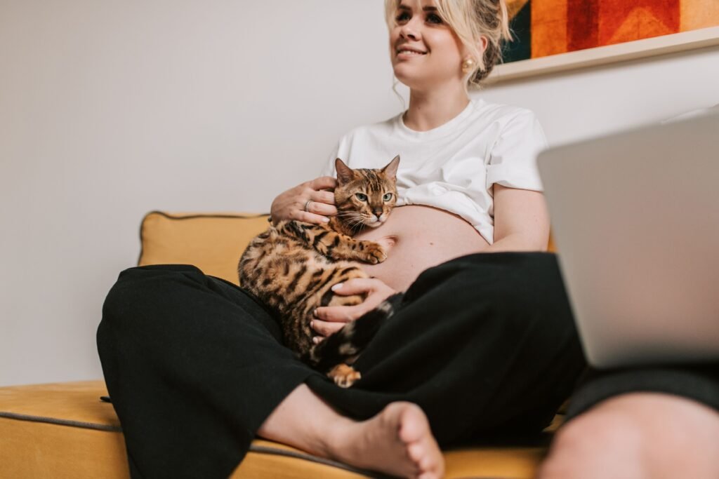  Gato deitado no colo de uma mulher, recebendo carinho no sofá de casa